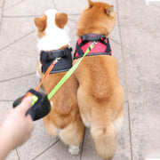 Retractable Dual Double Pet Leash Rope Zero Tangle Walk For Two Dog Walk The Dog